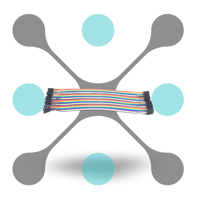 roboway Female to Female Jumper Wire 20 cm